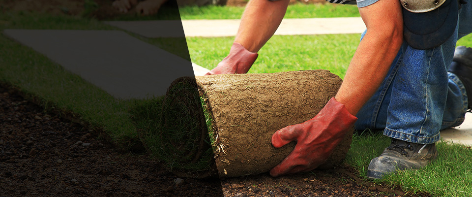 Brewster Landscapers